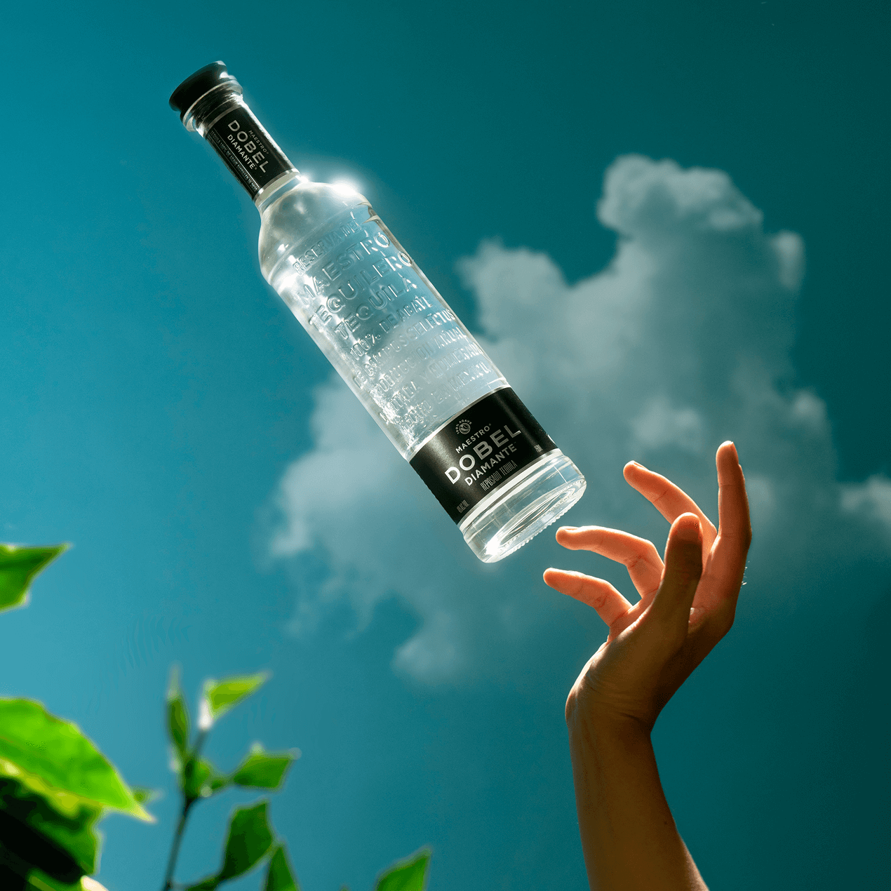 Dobel Diamante Cristalino bottle with sky in the spring