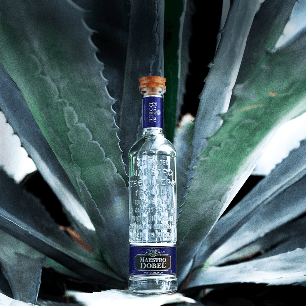 Dobel Blanco in front of agave plant.